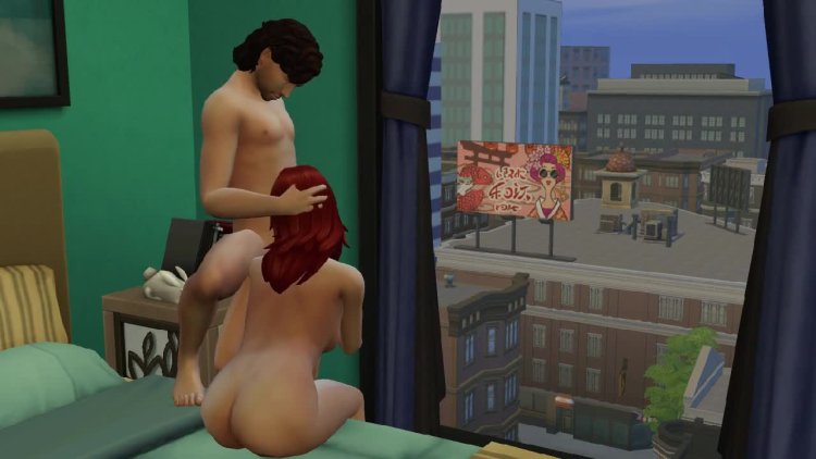 Pornographic Sims