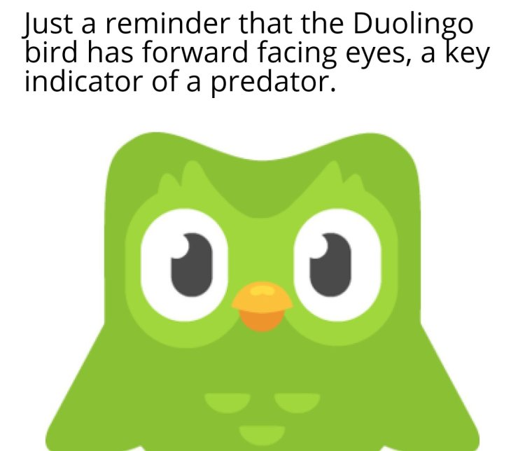 Duolino logo