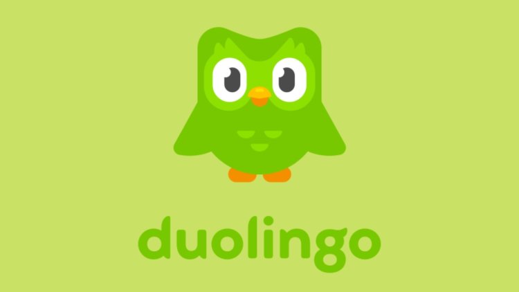 Duolingo Translate Mems