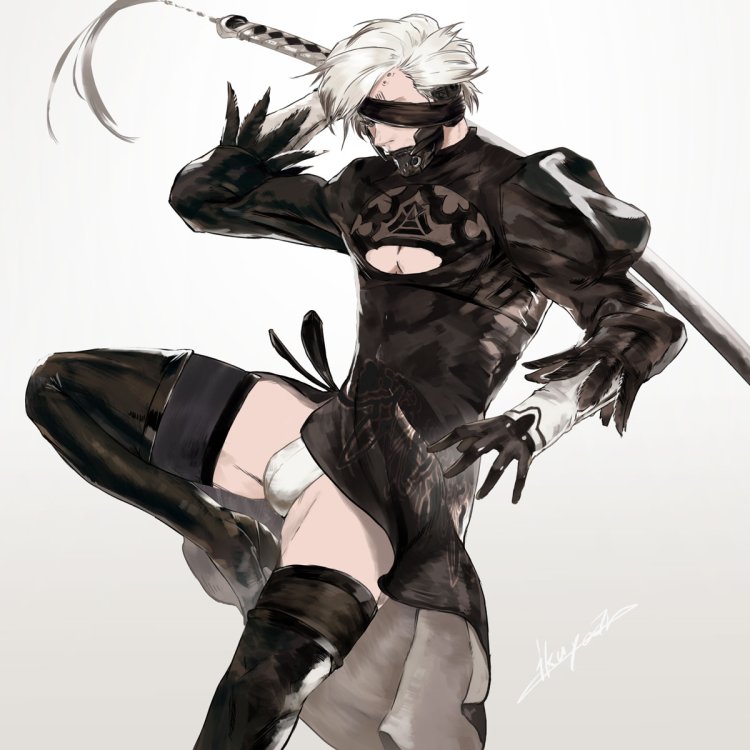 Raiden and 2b