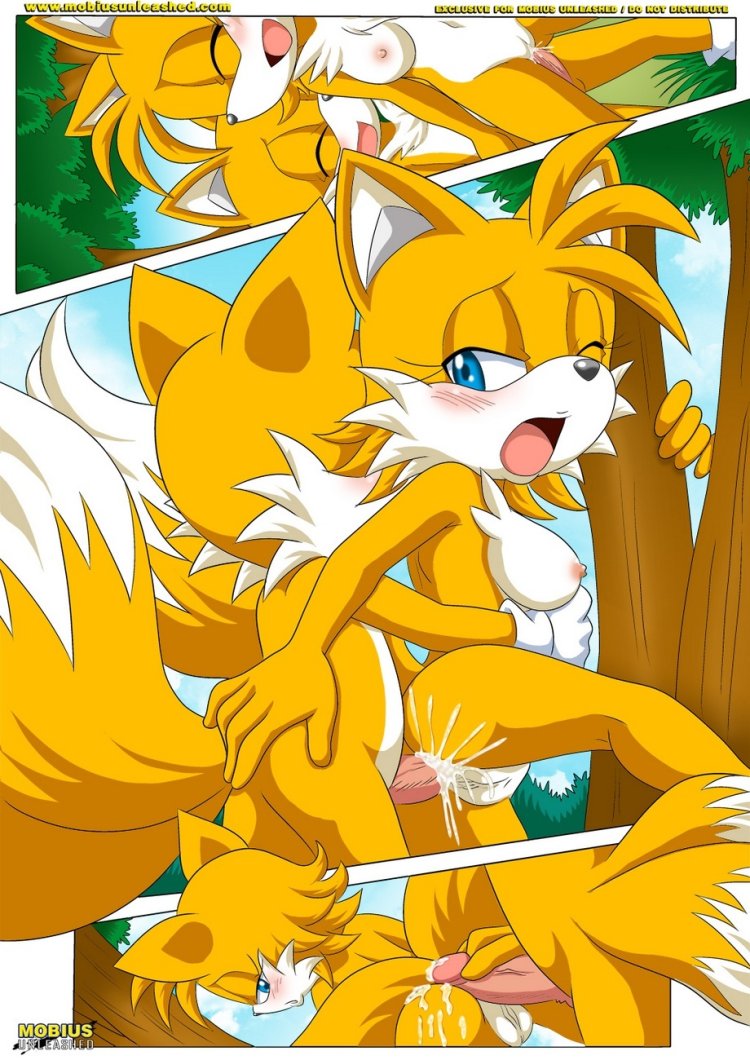 Miles Tails Prower Mobius Unleashed Palcomix