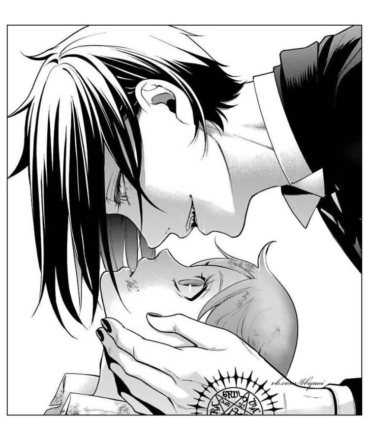 Sebastian Michaelis in profile